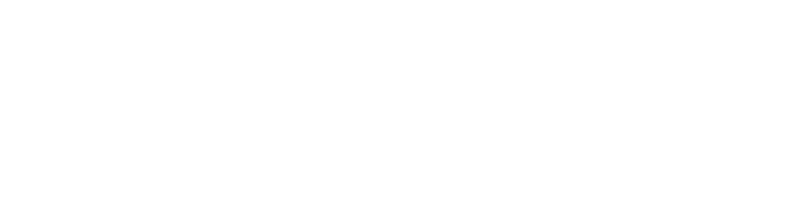 Stebex